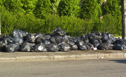 Professional waste removal in action